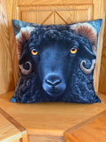 🐏 Coussin décoratif | Rempli de laine naturelle du Québec