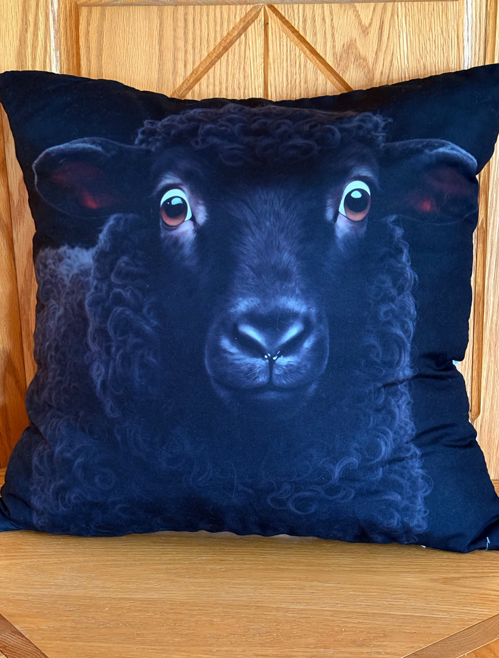 🐑 Coussin décoratif « Le Petit Curieux » – 46 × 46 cm | Rempli de laine naturelle du Québec