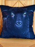 🐑 Coussin décoratif « Le Petit Curieux » – 46 × 46 cm | Rempli de laine naturelle du Québec