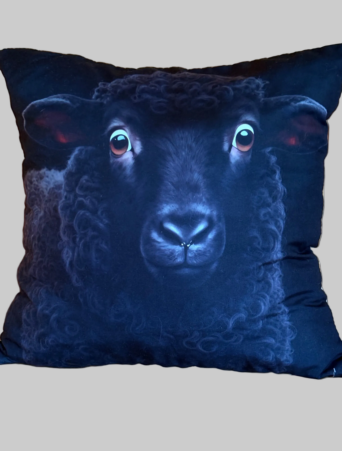 🐑 Coussin décoratif « Le Petit Curieux » – 46 × 46 cm | Rempli de laine naturelle du Québec