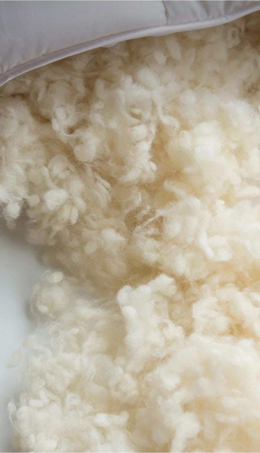 Laine de mouton Suffolk naturelle et écharpillée pour recharge d’oreiller WoolWood Dream