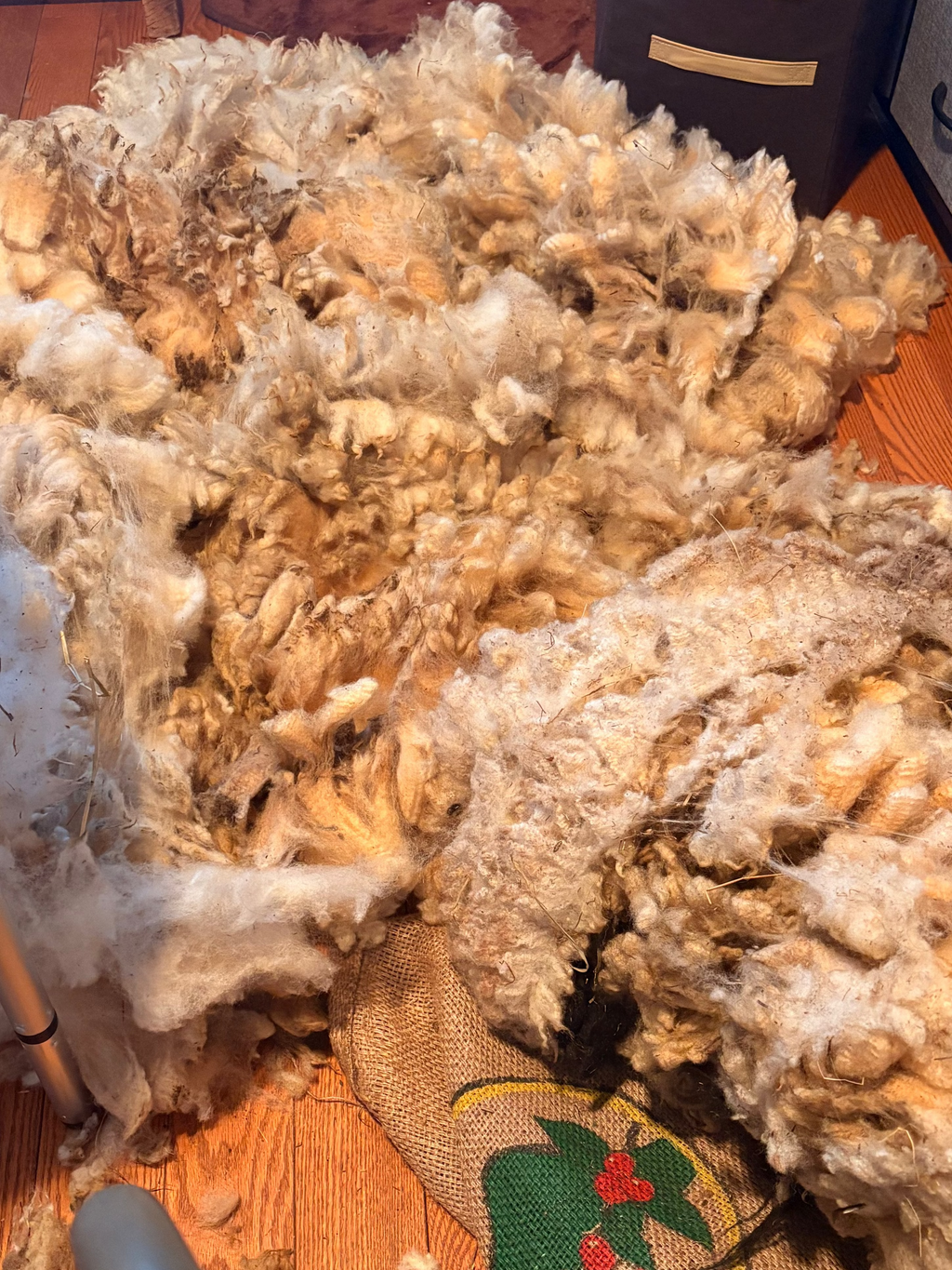 Oreiller en laine de mouton naturelle ajustable – respirant – wool pillow – Québec | WoolWood Dream